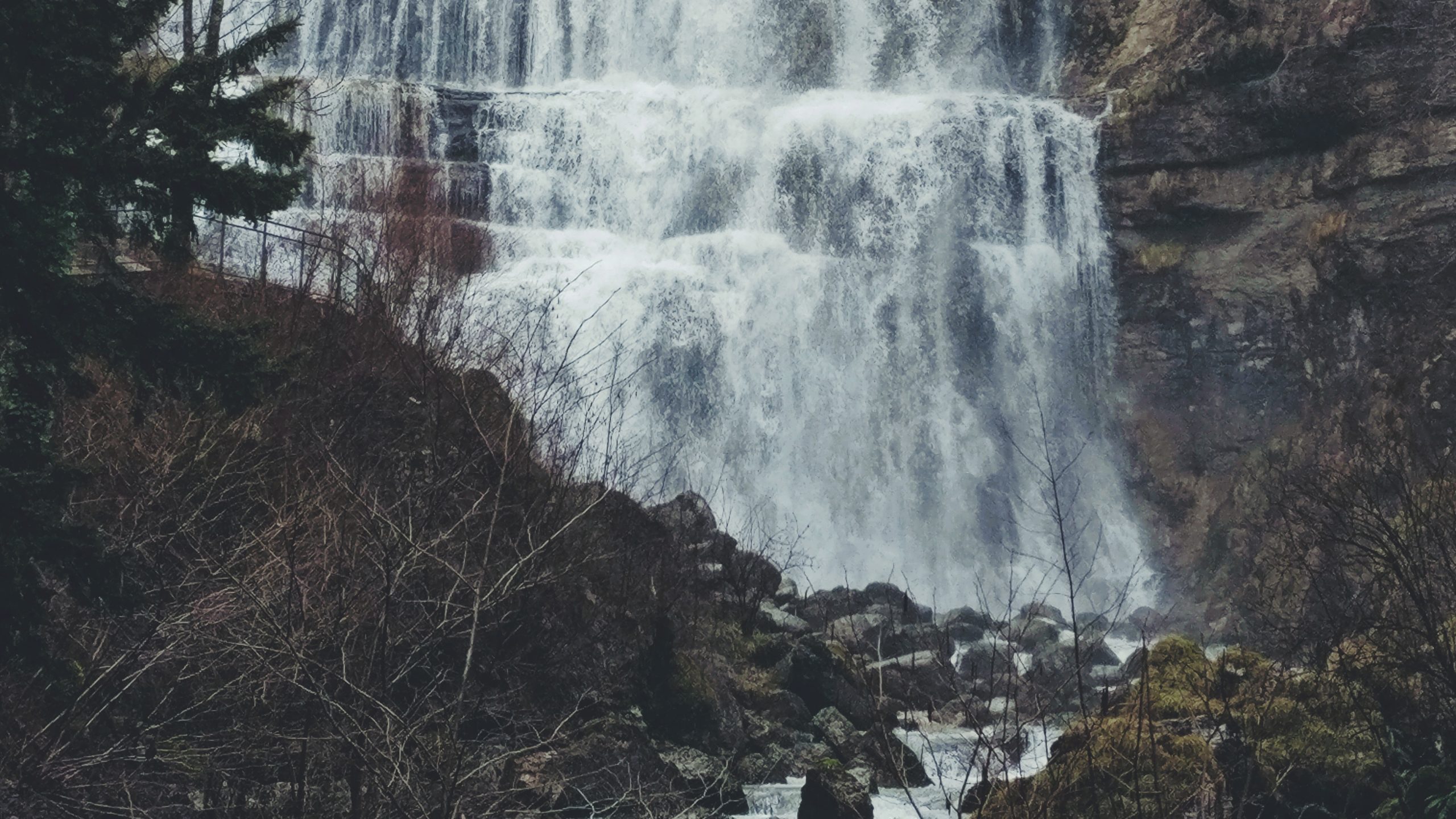 IMG_20180319_123110__01